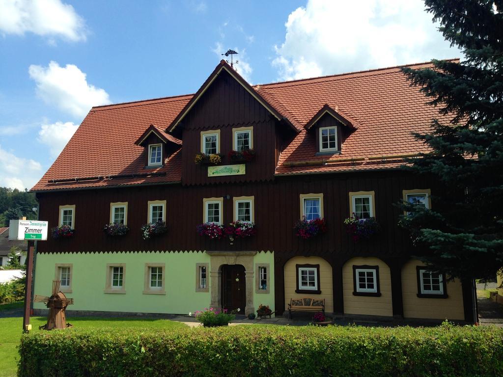Pension Immergrün Kurort Jonsdorf Exterior foto